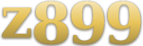 z899 โลโก้